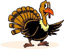 Turkey Image